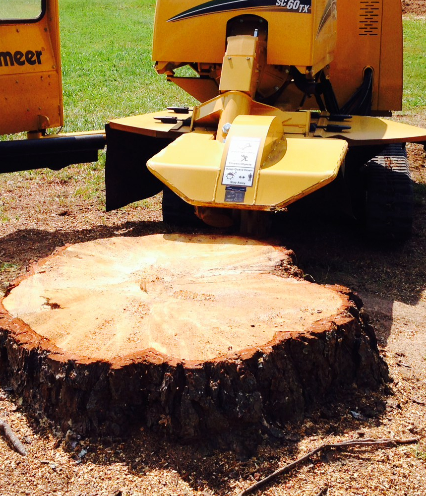 stump grinding