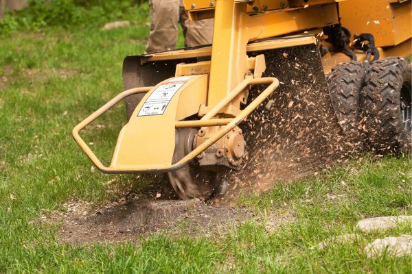 Stump Removal Services Near Me