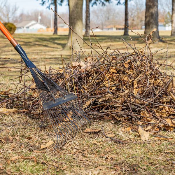 Yard Clearing Near Me