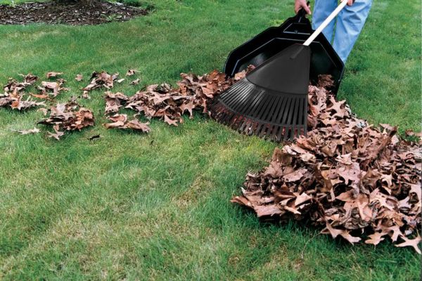 Garden Clean Up Near Me