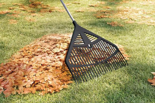 Green Waste Removal Near Me